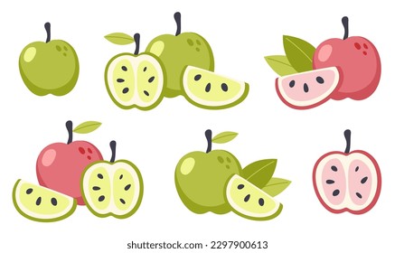 Vector apples set isolated on a white background. Cute cartoon illustration of organic food. Life compositions, whole and sliced natural fruites with green leaves