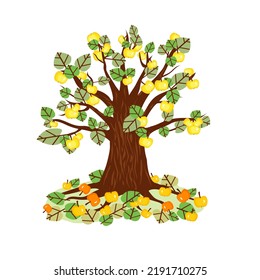 Vector - Appletree illustration with fallen apples, watercolor pattern.