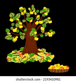 Vector - Appletree illustration with fallen apples, watercolor pattern.