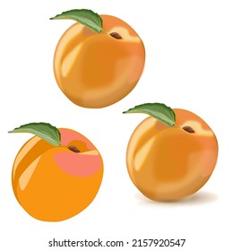 Vector apricot single flat volumetric with shadows with a leaf