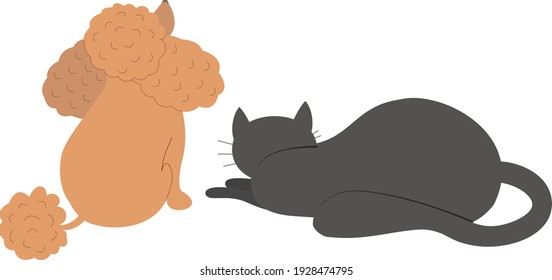 vector apricot  toy poodle and black cat illustratoin