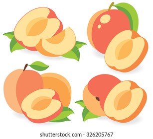 Vector apricots. Collection of cut apricot or peach fruits vector illustrations