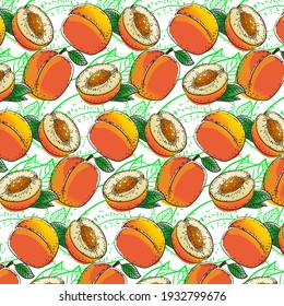 Vector apricots with leaves on a white background. Seamless pattern 