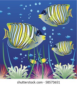 vector aquarium and colorful fishes