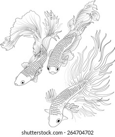 vector aquarium fish