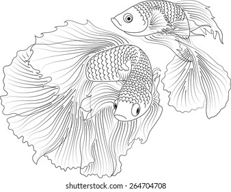 vector aquarium fish