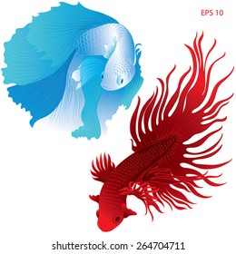 vector aquarium fish