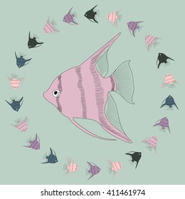 Vector  aquarium fish angelfish