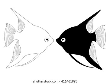 Vector  aquarium fish angelfish