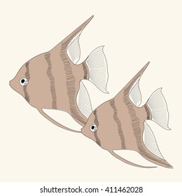 Vector  aquarium fish angelfish