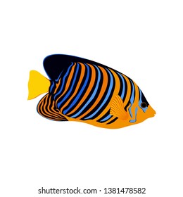 Vector aquarium fish silhouette illustration. Colorful cartoon flat aquarium fish icon for your design.