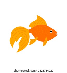 Vector aquarium fish silhouette illustration. Water icon. Underwater ocean fauna. Colorful cartoon flat aquarium fish icon for your design. Flat vector. Ocean wildlife. Decoration element