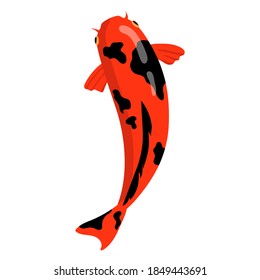 Vector aquarium fish silhouette illustration. Colorful cartoon flat aquarium fish icon for your design.