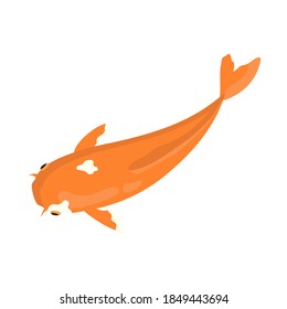 Vector aquarium fish silhouette illustration. Colorful cartoon flat aquarium fish icon for your design.