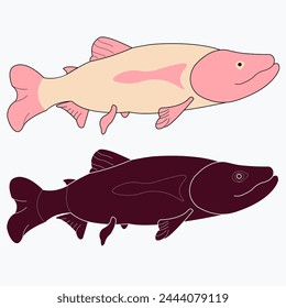 Vector aquarium fish silhouette illustration. Colorful cartoon flat aquarium fish icon for your design.