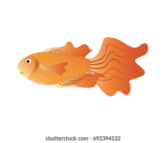 Vector aquarium fish silhouette illustration. Colorful cartoon  fish 