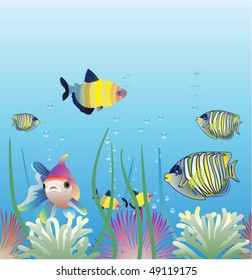 vector aquarium and fishes