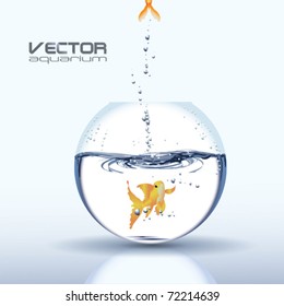 VektorAquarium mit Goldener Karpfen
