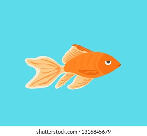 Vector aquarium golden fish silhouette illustration. Colorful cartoon flat aquarium marine pet simple icon for your design