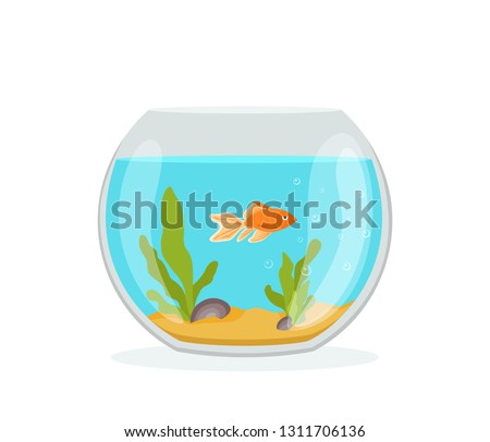 Vector aquarium golden fish silhouette illustration with water, seaweed, shells, sand bubbles. Colorful cartoon flat aquarium marine pet for your design