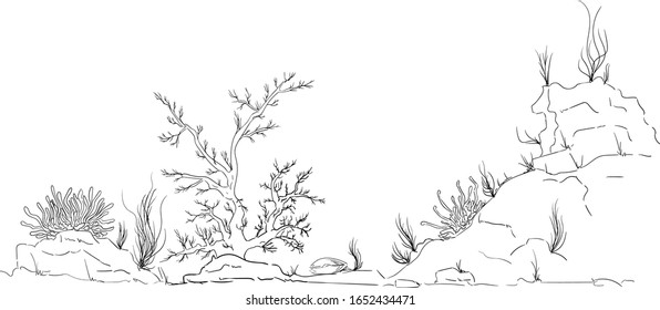 vector, aquarium plants and decorations
