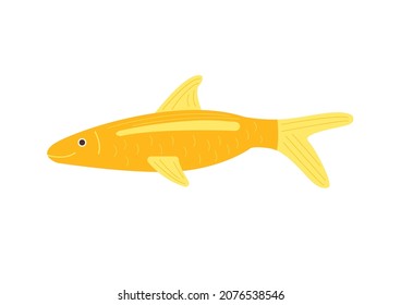 Vector aquarium tropical fish in flat cartoon style isolated on white background. Colorful cute sea fish. Childrens illustration