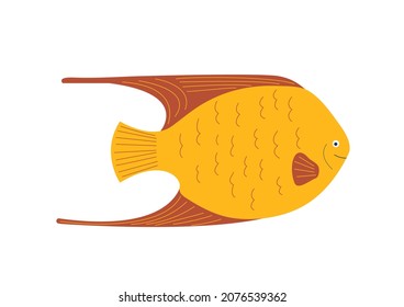 Vector aquarium tropical orange 
fish in flat cartoon style isolated on white background. Colorful cute sea fish. Childrens illustration