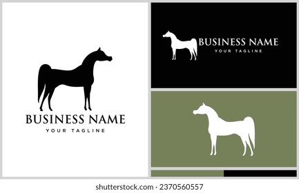 vector arabian horse design template