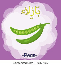 Vector Arabic Alphabet Vegetable Illustration for kids learning, English Translation; Peas