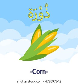 Vector Arabic Alphabet Vegetable Illustration for kids learning, English Translation; Corn