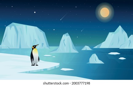 Vector arctic illustration. Northern night landscape, penguin on ice. Starlight night.