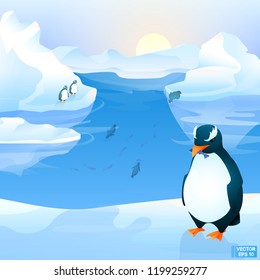 Vector arctic landscape with cartoon penguins. for your design.