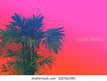 Vector of Areca palm stylish flat style . isolate on bright neon pink and orange background. nostalgic\ emotion \ aesthetic feeling
