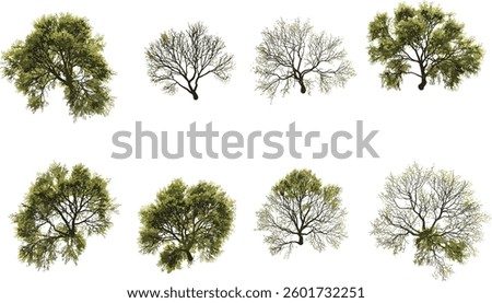 Vector arid trees set, aerial view, dry nature, deadwood, leafless branches, parched earth, desert flora, eco concept, wilderness, drought effect