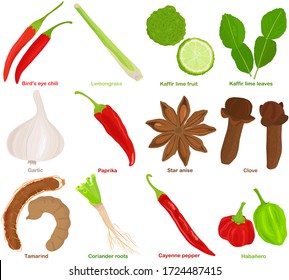 Vector of aromatic Herb, vegetable - Chili, Lemongrass, Kaffir lime, Garlic, Paprika, Star anise, Clove, Tamarind, Coriander roots, Cayenne pepper, Habanero. Healthy ingredients. Colorful set of food 