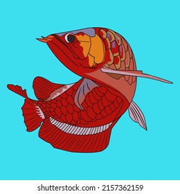 Vector of Arowana Fish for covers, prints, paper, cloth, walls, and can be used for logos, stickers and others