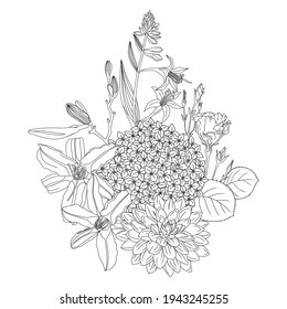 Vector arrangement with summer flowers. Floral outlines of rose, hydrangea, dahlia, zinnia. Botanical composition for greeting card and invitation. Can be used for event or wedding design. 