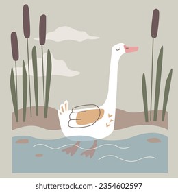 Vector art with abstract floating goose and water with reeds. Domestic funny bird swimming and relax.