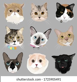 Arte vector de 9 gatos adorables