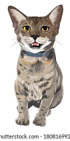 Vector art of adorable funny cat
