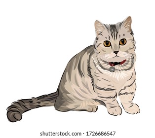 Arte vectorial del adorable gato munchkin