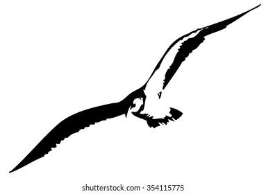 Vector Art Albatross Stock Vector (royalty Free) 354115775 