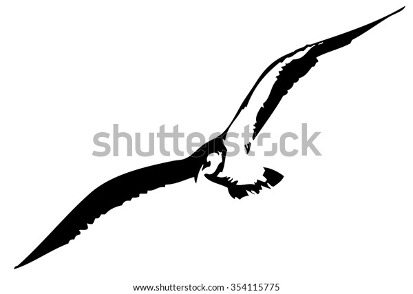 Vector Art Albatross Stock Vector Royalty Free 354115775 Shutterstock 