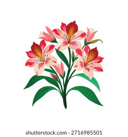 Arte vectorial de alstroemeria sobre fondo blanco 