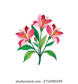 Arte vectorial de alstroemeria sobre fondo blanco 