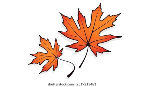 vector art of autumn maple leaf