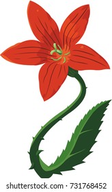 Vector art with beautiful red flower on white background