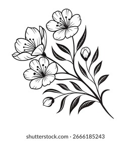 Vector art of black and white illustration of cherry blossoms isolated on white background