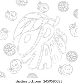 Vector art black and white sketch illustration of orange fruit