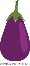 Vector art of brinjal isolated on a white background